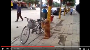 LiveLeak Dog guards owners bike from being stolen - YouTube 2015-08-21 19-20-16
