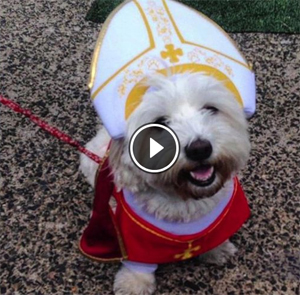 PopeDogs