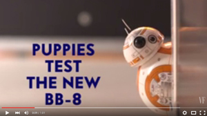 Puppies Test The New Star Wars BB-8 Droid Toy