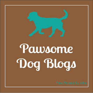 Pawsome Dog Blog