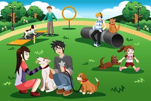 Pbs Kids Dog Park