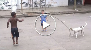 stray dog helping children jump rope in Brazil