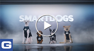 Smartdogs