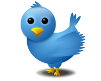 twitter bird